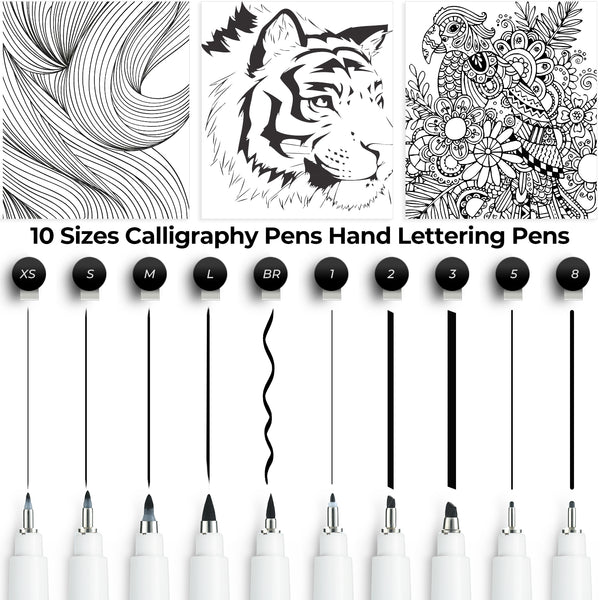 Ohuhu Calligraphy Pens, Brush Chisel Fine 10 Size Tips – ohuhu