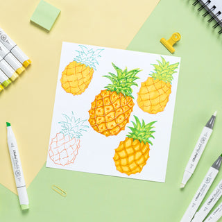 Ohuhu Honolulu 48 Colors Dual Tips Alcohol Art Markers (New Color Codes)