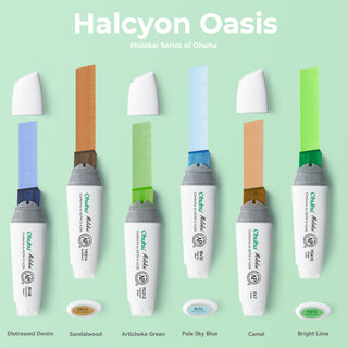 Ohuhu Molokai Four Tones Extra-wide Tip Alcohol Art Markers
